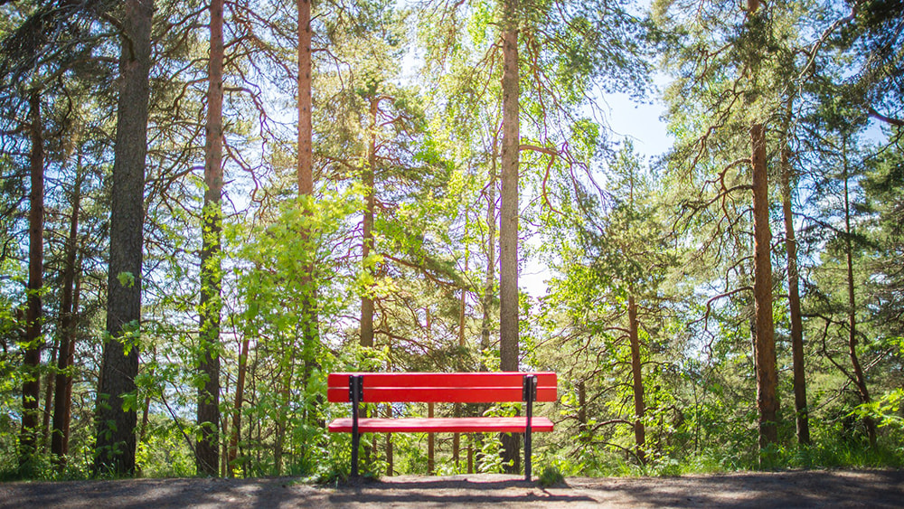 Puita ja punainen penkki