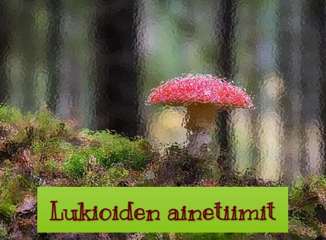 Punainen sieni ja päällä teksti: lukioiden ainetiimit.