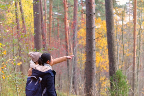 Kuvassa kaksi naista seisoo vieräkkäin syksyisessä metsässä. Toinen osoittaa maisemaa.